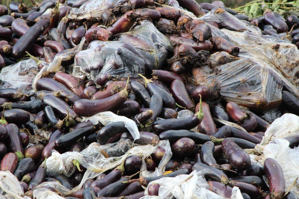 Nehrin kıyısına döküldü! Çuvallar dolusu soğan ve patlıcana inceleme 6